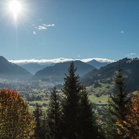 Schönried Budget Rooms Gstaad מראה חיצוני תמונה